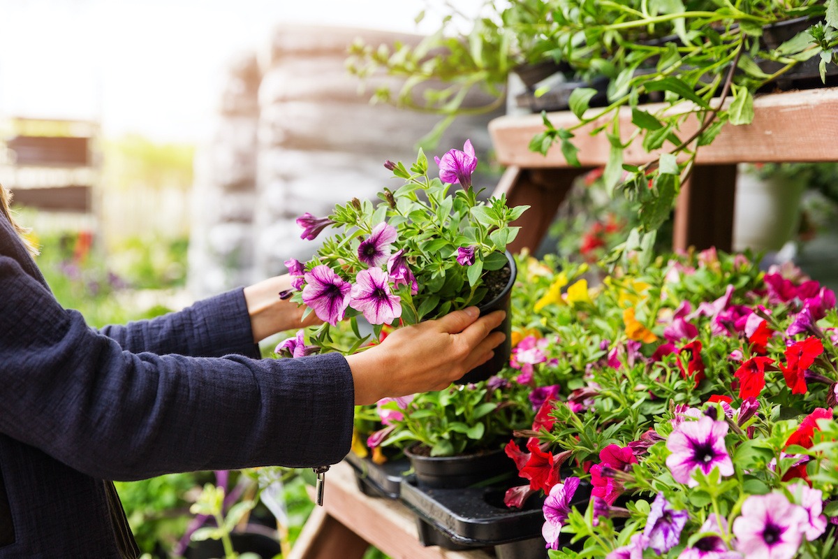 Home Depot Garden